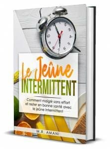 le jeune intermittent livre